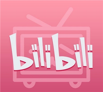 哔哩哔哩大会员年卡（直充）